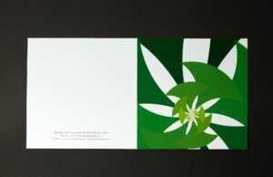 FineArtCards_008_Curved_Kite_Flower_JPEG-WEB